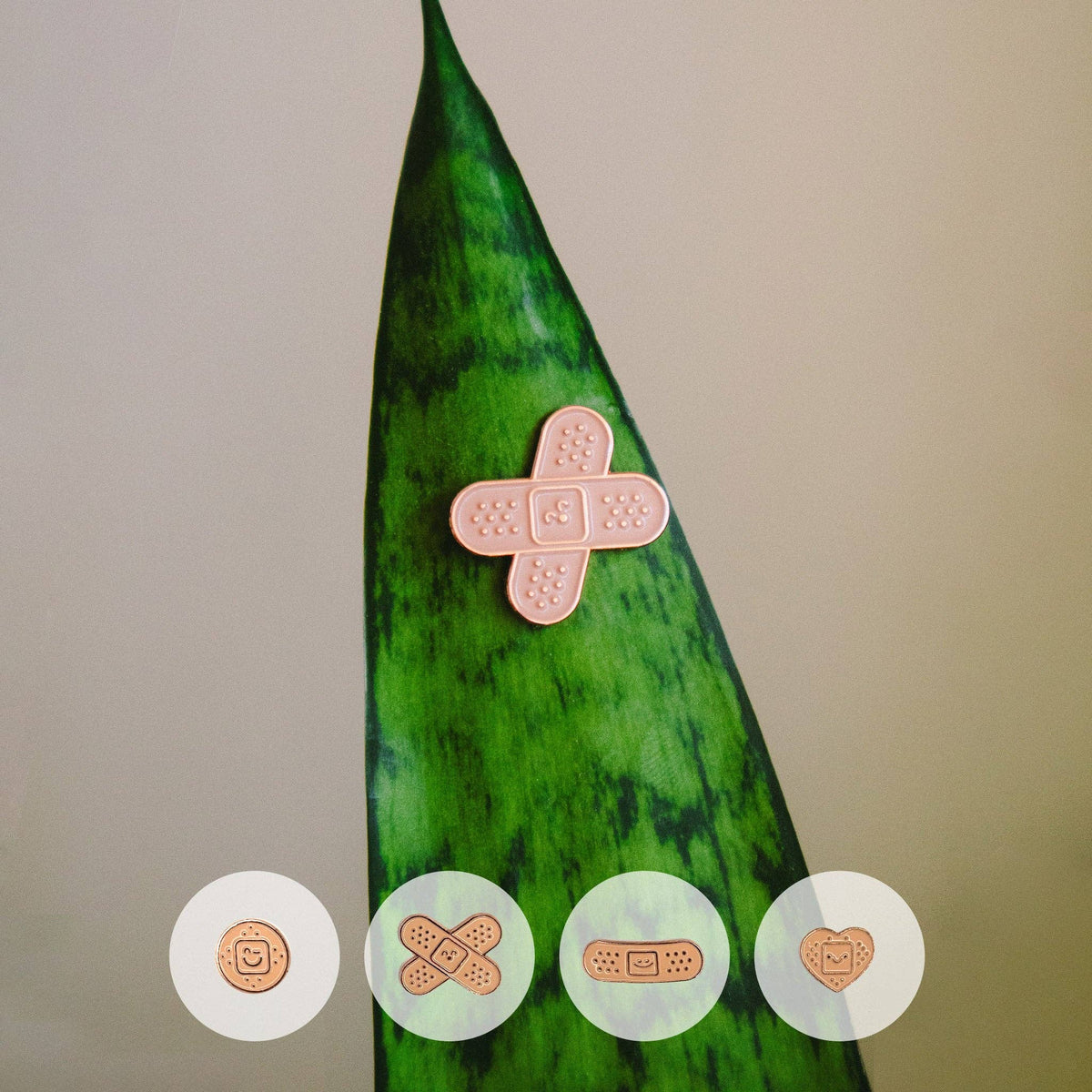 Plant Magnet - Bandaid 4-Pack
