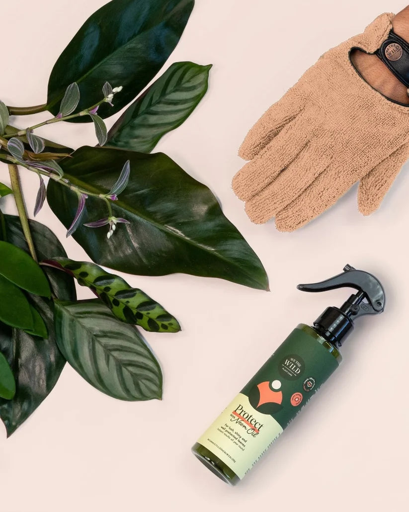 We The Wild Proud Plant Mum Leaf Health Kit with Cleaning Glove