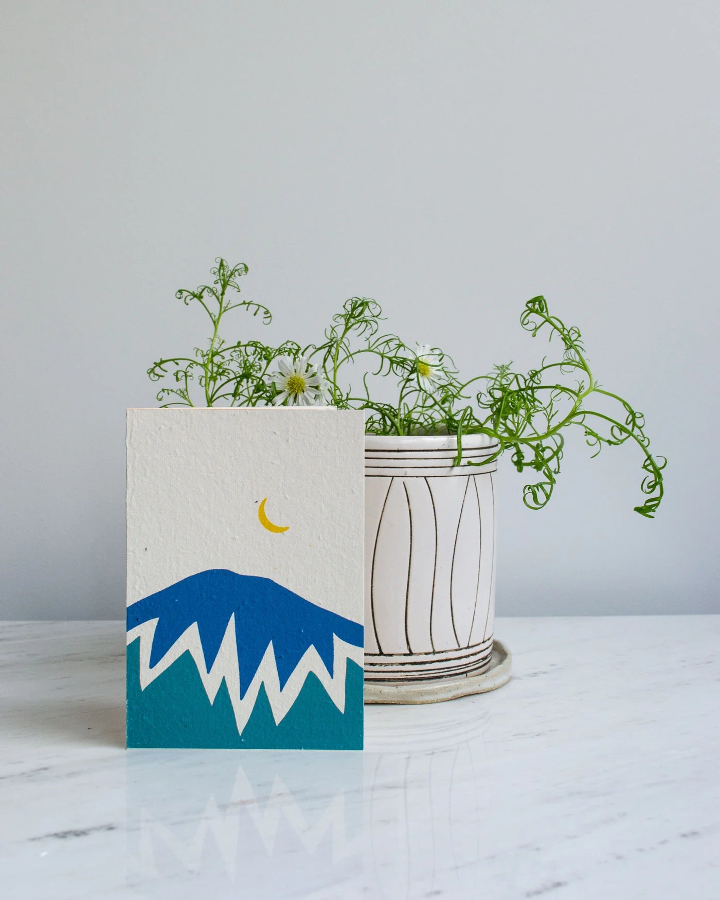 Plantable Gift Cards