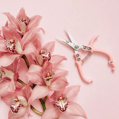 Plant Snips