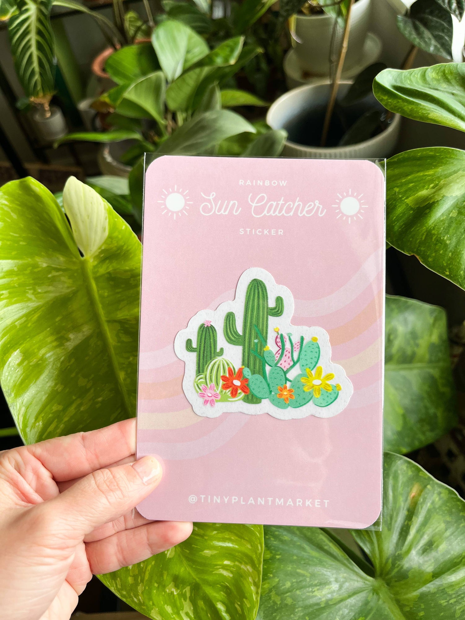 Cactus Garden Sun Catcher Sticker