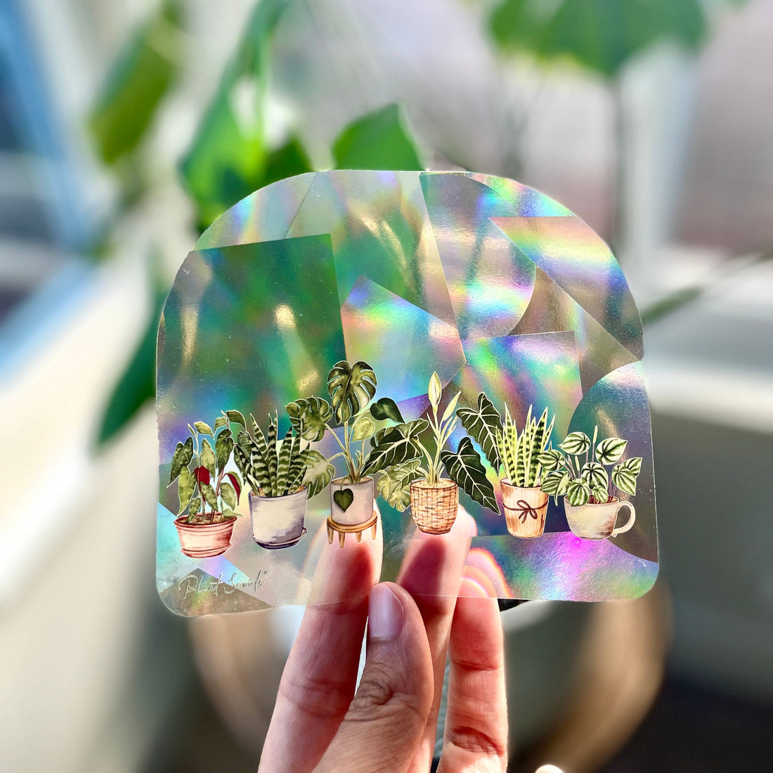 Sticker - Suncatcher Window Decal - Potted Plant