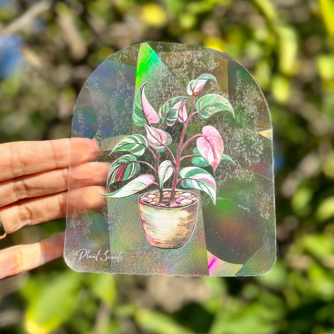 Sticker - Suncatcher Window Decal - Pink Princess