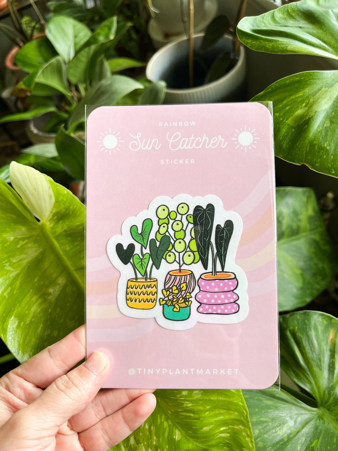 Potted Plants Sun Catcher Sticker