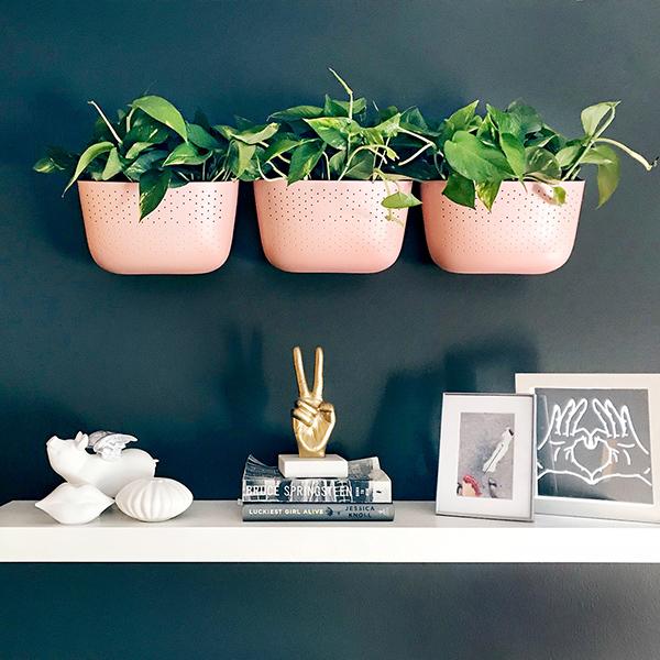 WallyGro Eco Wall Planter