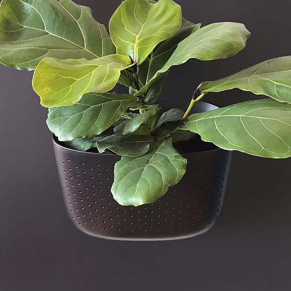 WallyGro Eco Wall Planter