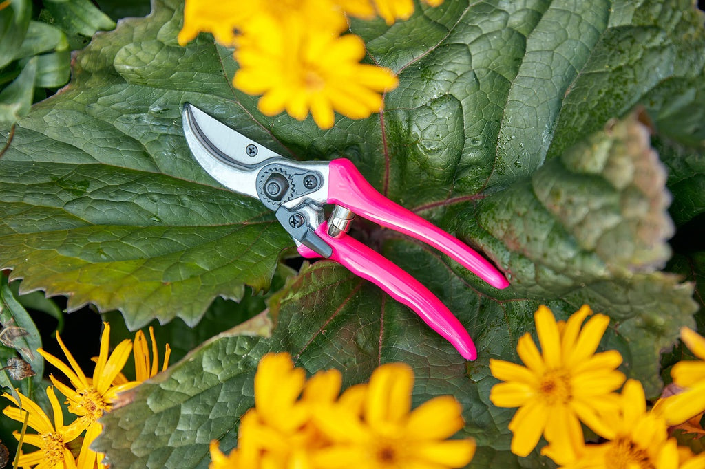 Fluorescent Gardening Secateurs