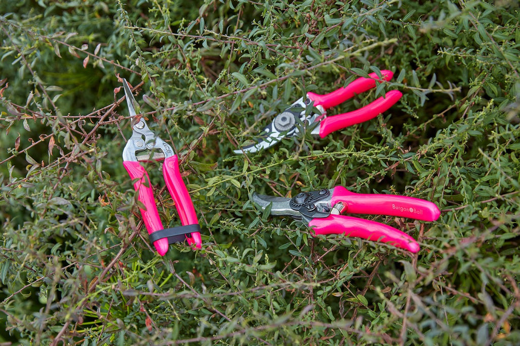 Fluorescent Gardening Secateurs