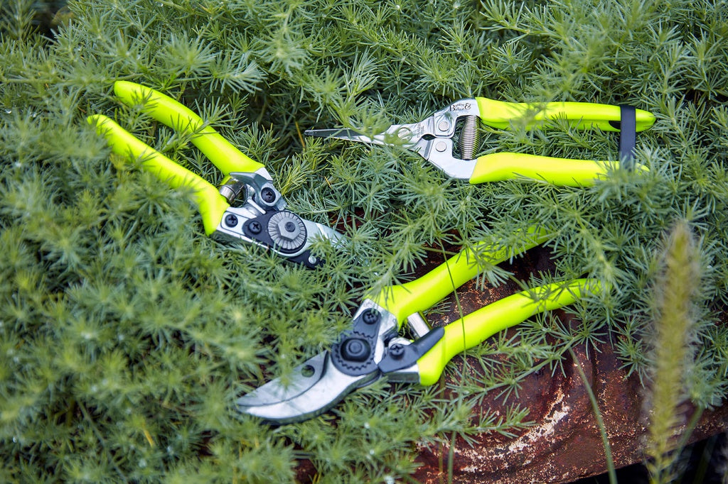 Fluorescent Pocket Pruner