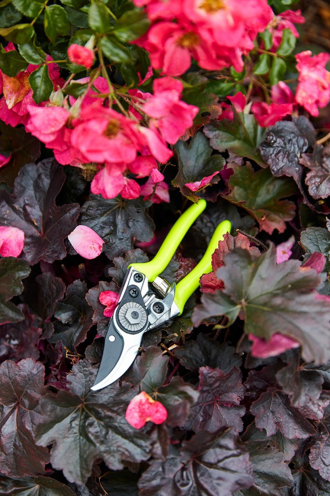 Fluorescent Pocket Pruner