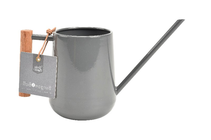 Watering Can - 700mml Indoor