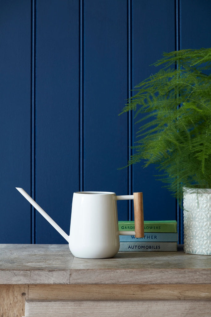 Watering Can - 700mml Indoor