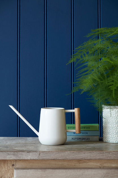 Watering Can - 700mml Indoor