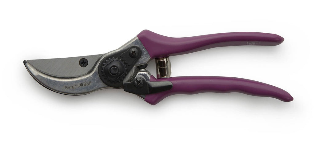 Secateurs - Passiflora