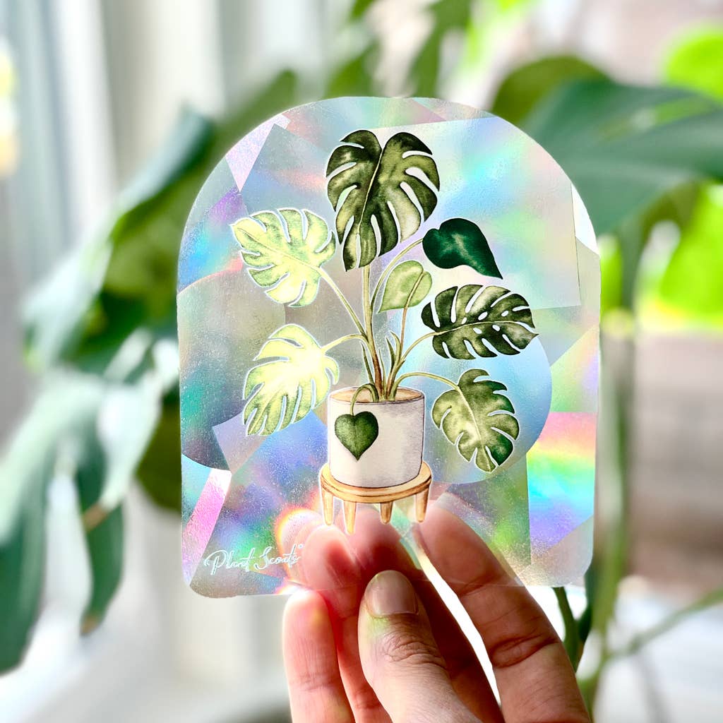 Rainbow Making Monstera Suncatcher Window Decal  Sticker