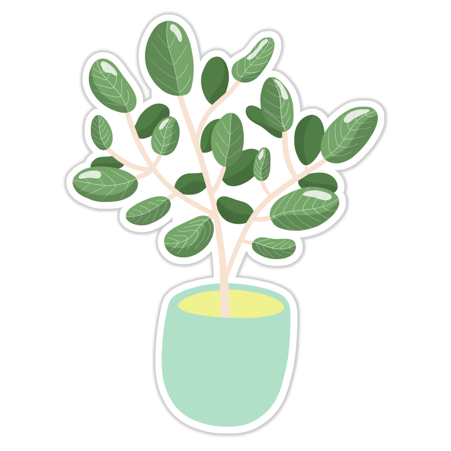 Ficus Audrey Plant Sticker
