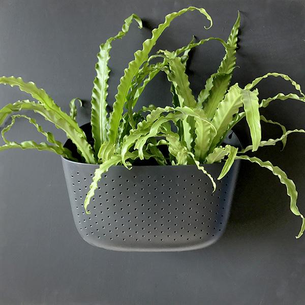 WallyGro Eco Wall Planter