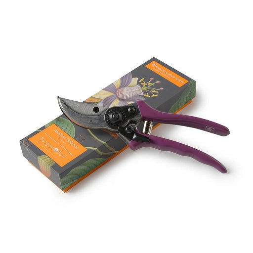 Secateurs - Passiflora