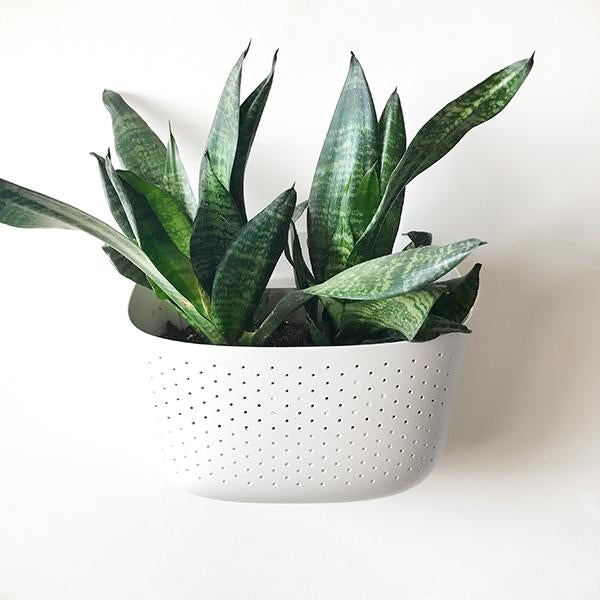 WallyGro Eco Wall Planter